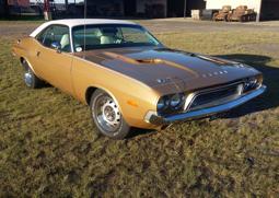 | Divulgação/Phoenix American Mex