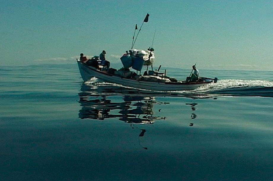 Documentário “Rabo de Peixe”, que abre o festival, traz voz autoral de cineastas portugueses. | Divulgação