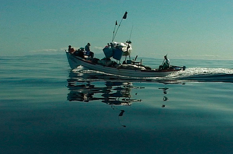 Documentário “Rabo de Peixe”, que abre o festival, traz voz autoral de cineastas portugueses. | Divulgação