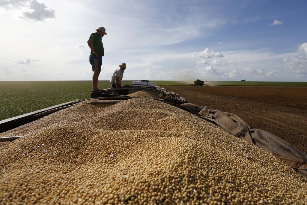 Volume exportado de soja no mês passado, de 9,3 milhões de toneladas, foi recorde. | Gazeta do Povo