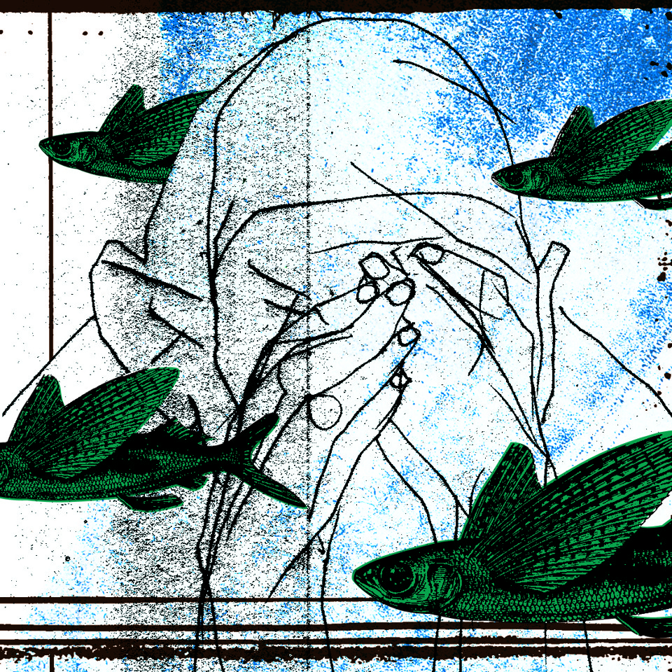 | Ricardo Humberto/Especial para a Gazeta do Povo