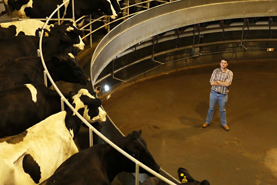 Sistema atrai curiosos, conta o zootecnista Diogo Vriesman. | Josua© Teixeira / Gazeta Do Povo