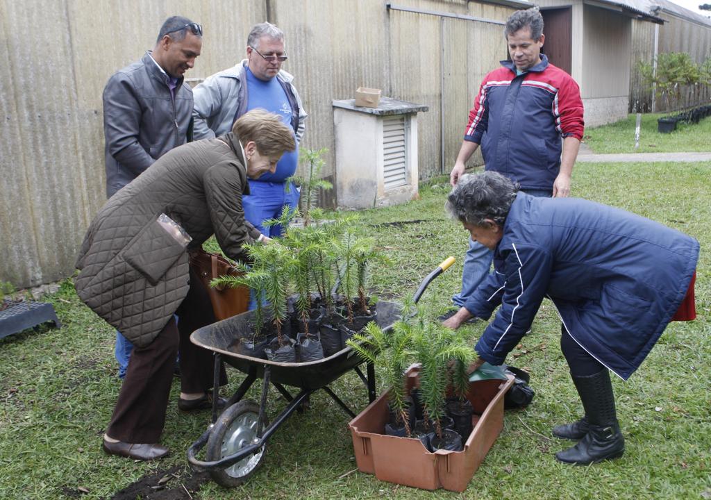 | Aniele Nascimento/Gazeta do Povo
