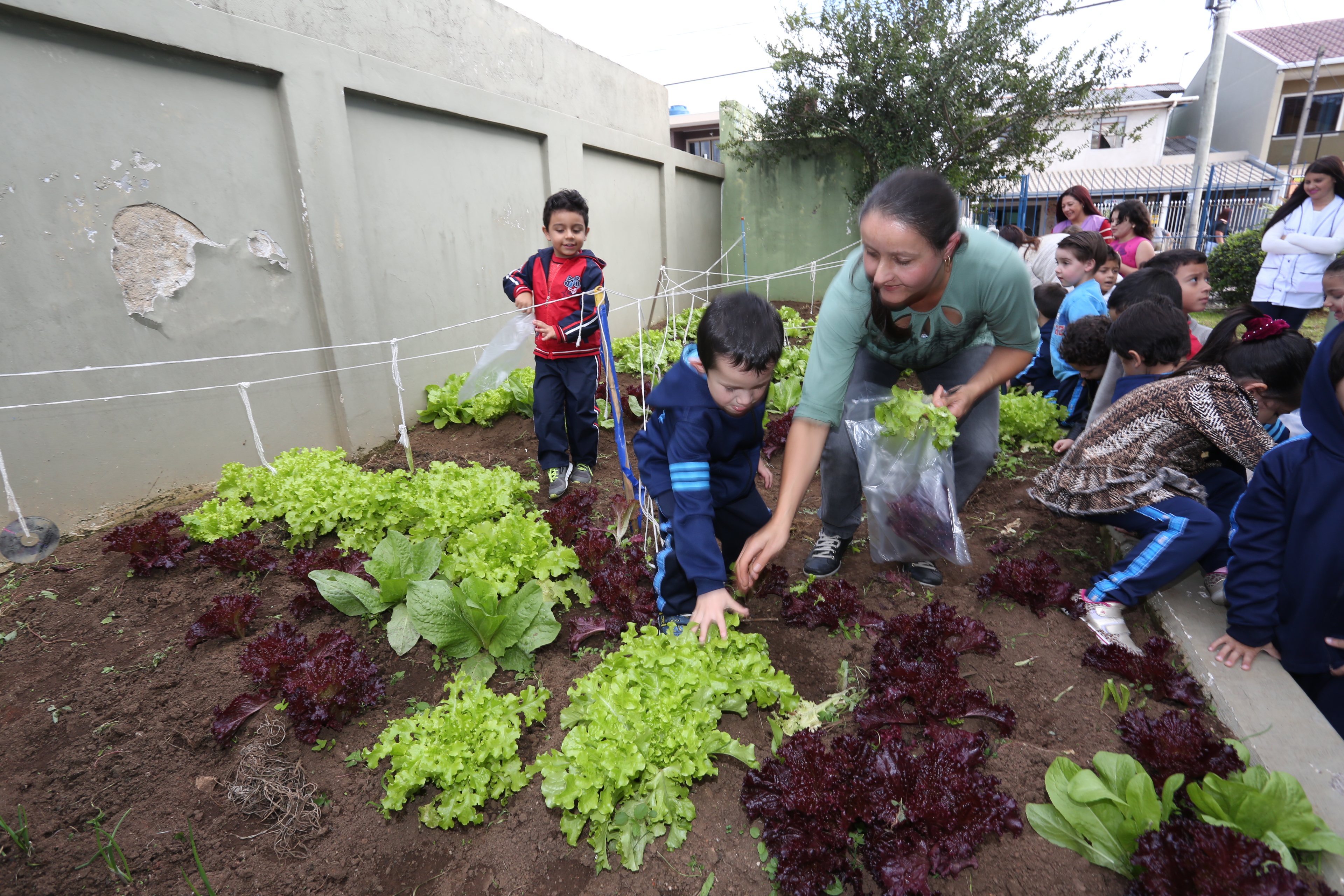 Alunos da E.M. Madre Tereza de Calcutá aprendem a fazer lanche saudável. Escola já teve altos índices de excesso de peso. | Ivonaldo Alexandre/Gazeta do Povo