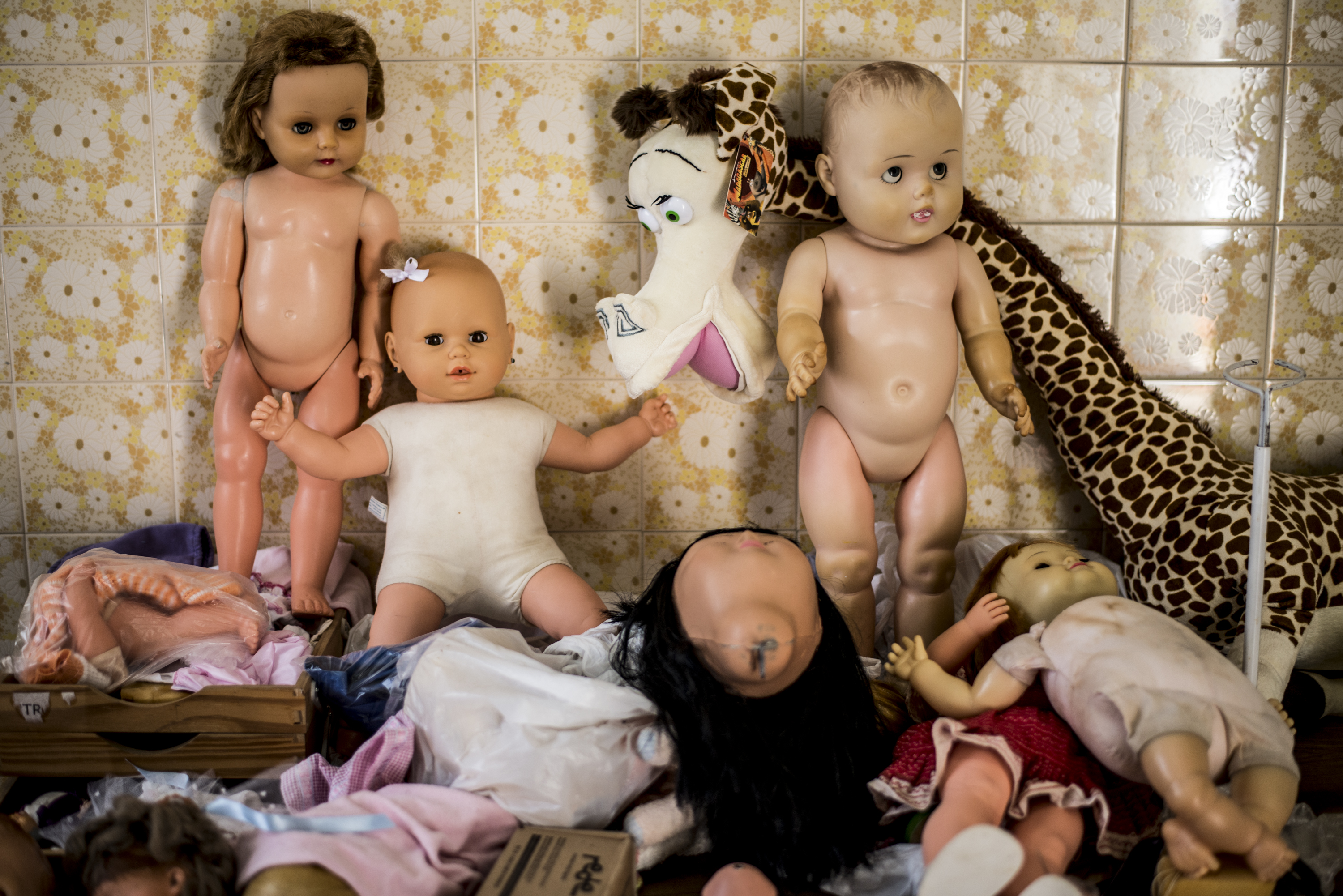 Bonecas à espera de restauração na oficina de brinquedos. | Henry Milleo/Gazeta do Povo