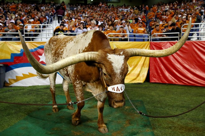 O primeiro mascote esportivo da Universidade de Texas foi Pig, um buldogue. Em 1916, porém, a universidade decidiu substituí-lo por um touro de chifre longo, bem mais condizente com o Texas. Bevo já está em sua 14ª geração e até mesmo o nome do time mudou por causa dele: Texas Longhorns. | Ronald Martinez/Getty Images