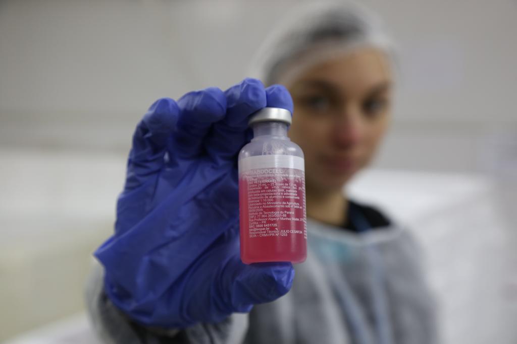Tecpar é o único fabricante da vacina antirrábica no país. | Ivonaldo Alexandre/Gazeta do Povo