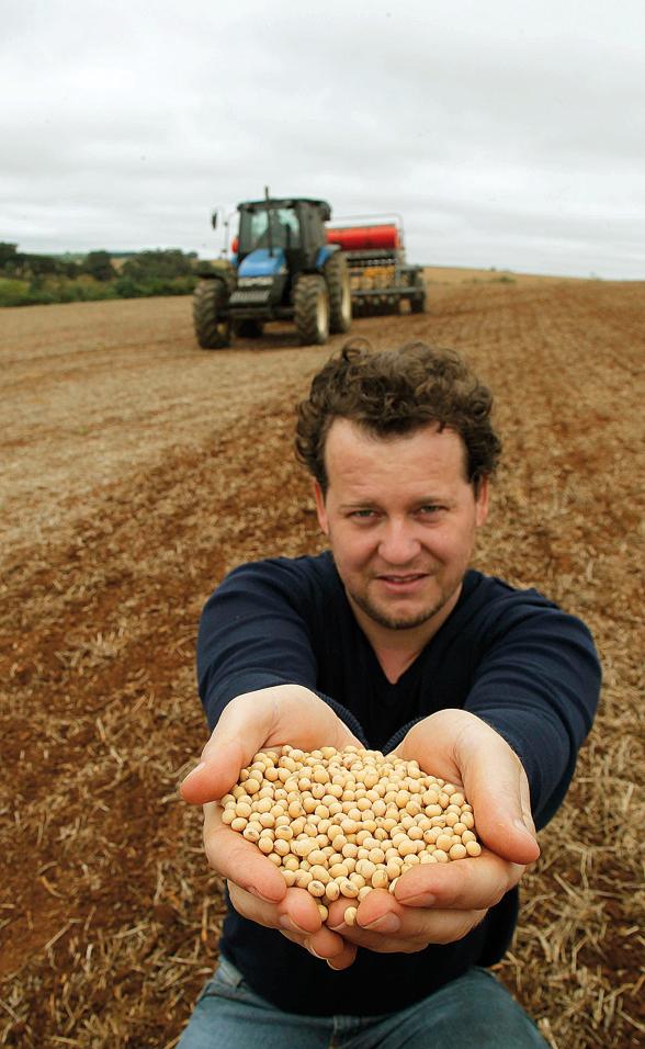 Alisson Hilgenberg: plantio direto, adubação orgânica e produtividade acima da média. | Jonathan Campos / Gazeta do Povo