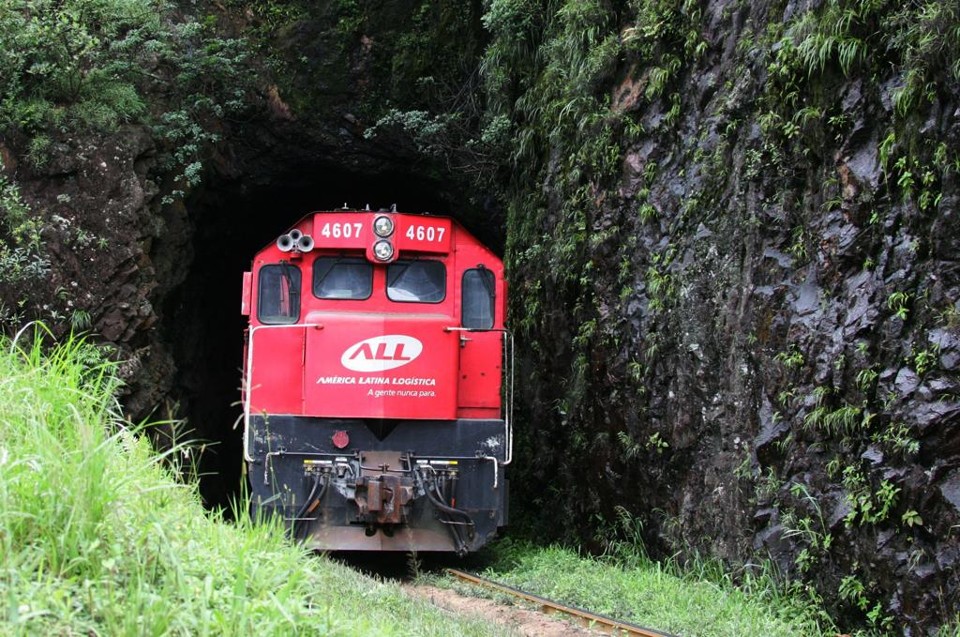 Cor vermelha da ALL será substituída pelo azul da nova empresa controladora, a Rumo. | Daniel Castellano/Gazeta do Povo