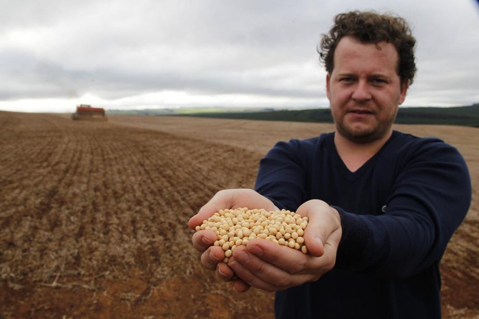 Com 141,79 sacas ou 8.507,4 quilos por hectares, Alisson Alceu Hilgenberg, de Ponta Grossa, foi o grande vencedor do Desafio Máximo de Produtividade da Soja |