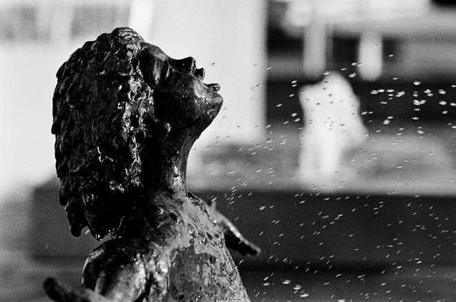 Detalhes de Curitiba, por Cyro Ridal. | Cyro Ridal