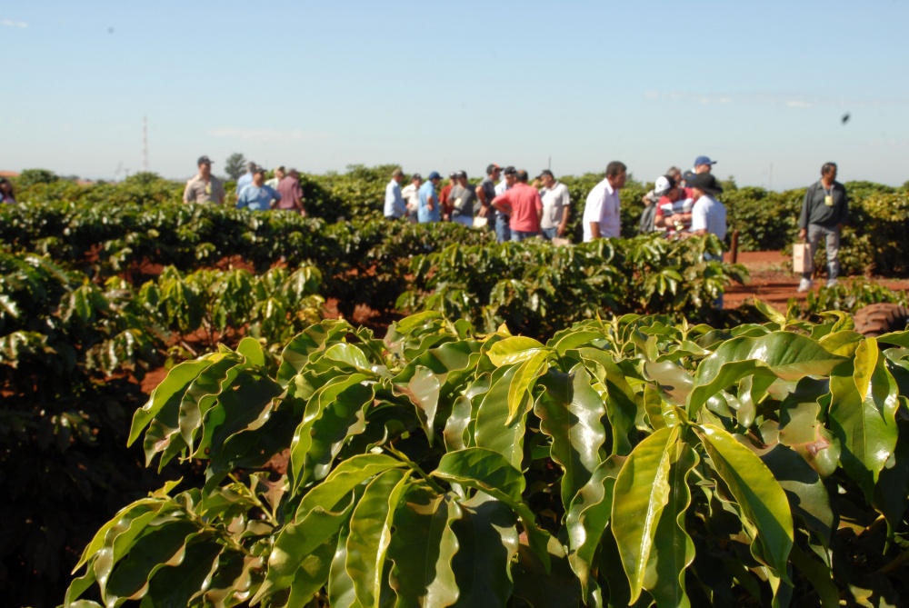 Encontro no Norte do Paraná reuniu produtores, técnicos e estudantes para discutir o tema |