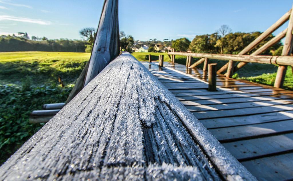 | Daniel Castellano/ Gazeta do Povo