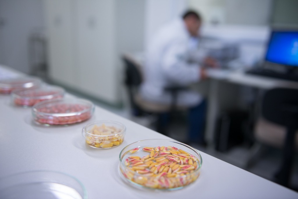 Fapa possui mais de 230 ha em campos experimentais, espalhados por 12 regiões distintas.