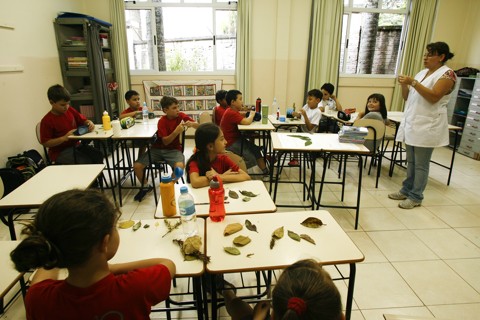 Paraná tem nova data de corte para ensino fundamental | Josue Teixeira/Arquivo/Gazeta do Povo