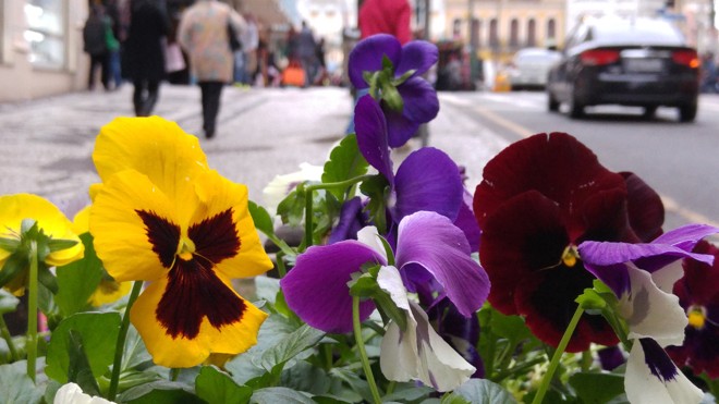 | Hugo Harada/Gazeta do Povo