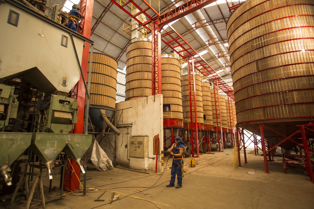 Estrutura de recepção de sementes da C. Vale em Santa Catarina. |