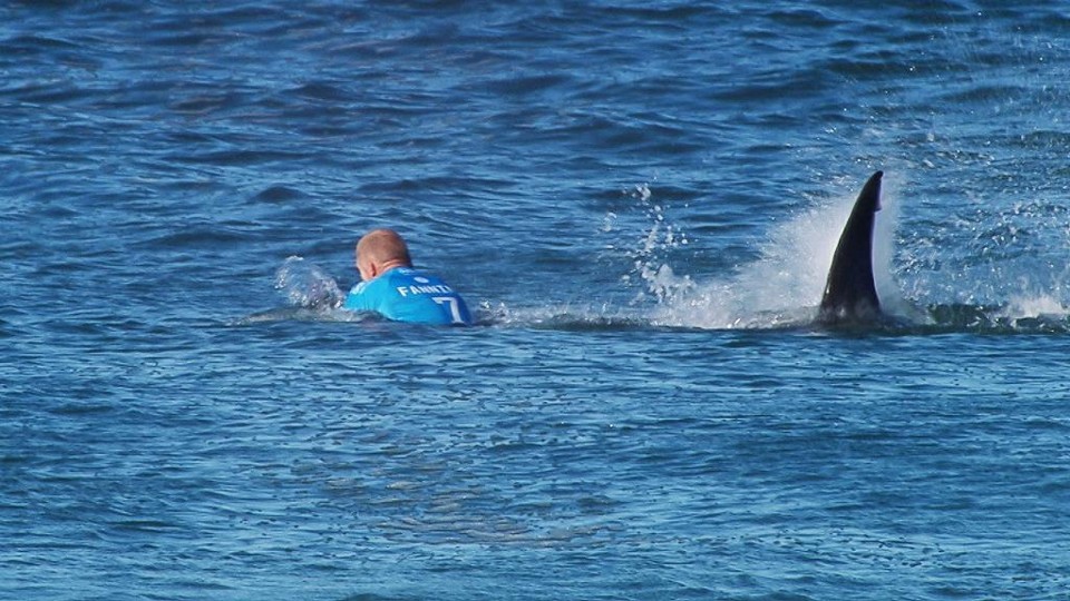 Mick Fanning no momento em que o tubarão chega próximo a ele. | /Reuters