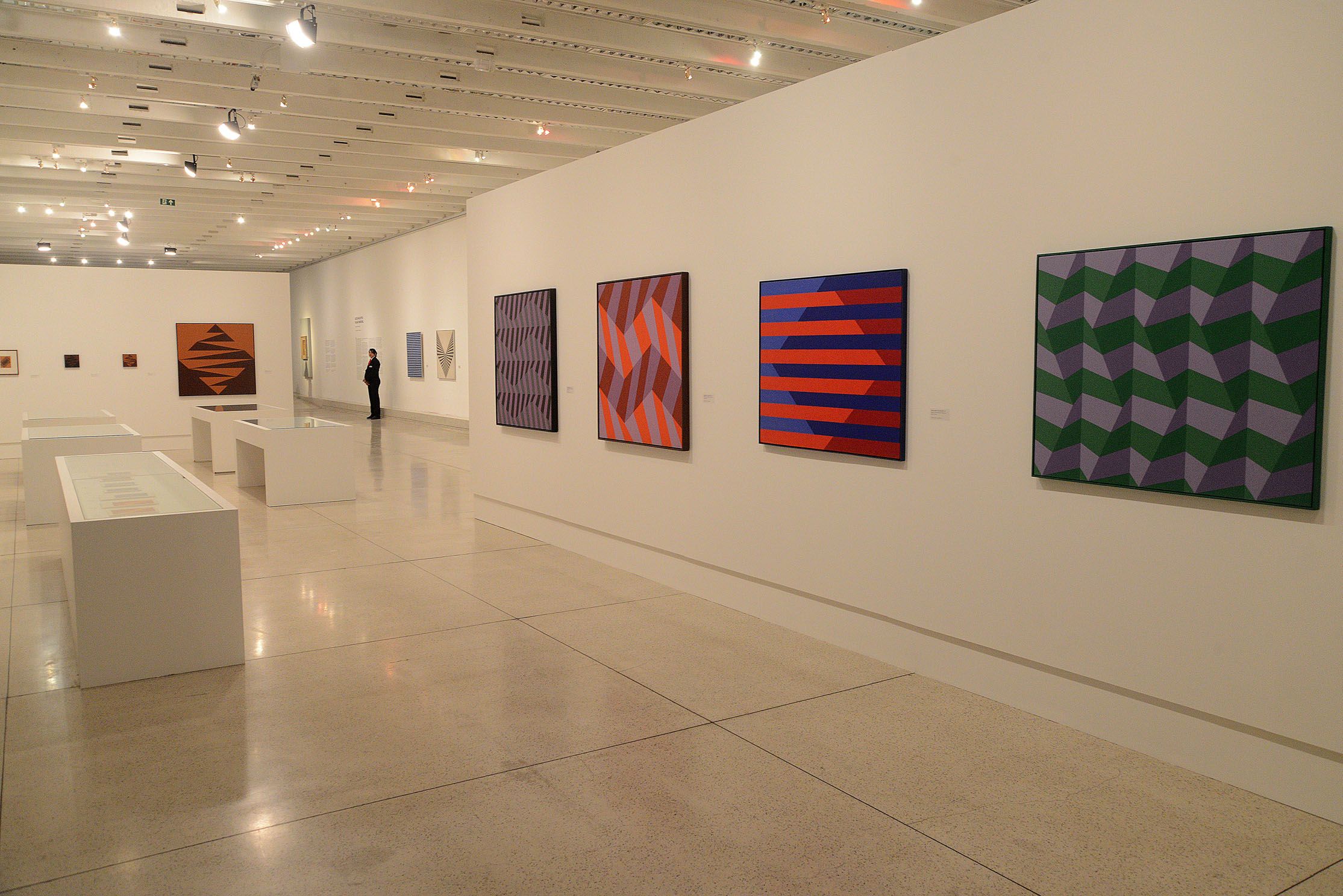 Visita guiada será sobre retrospectiva de Luiz Sacilotto. | Kraw Penas/Divulgação