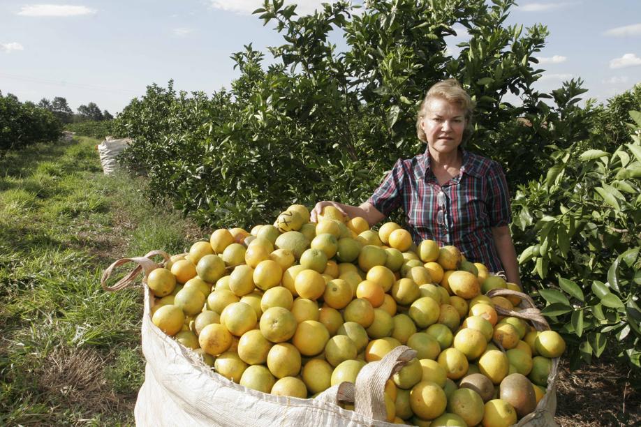 Viúva há 18 anos, Cecília Falavigna assumiu a administração da fazenda e hoje é um dos destaques da região Norte. |