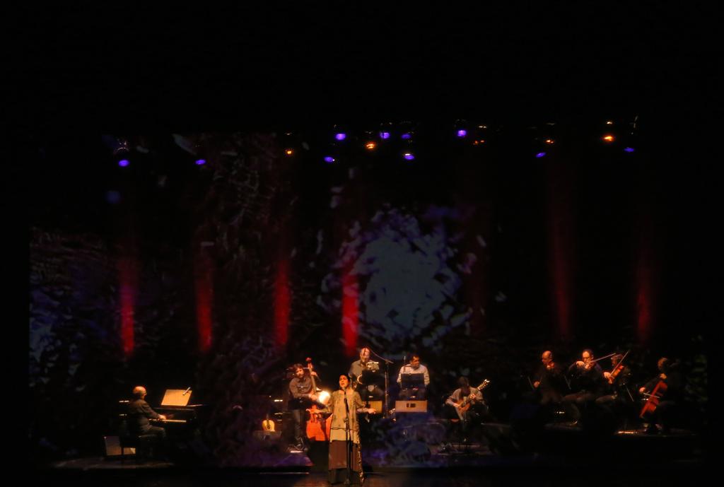 Cantora paulistana se apresentou no Guaíra ao lado do saxofonista Proveta, do pianista Nelson Ayres e do Quarteto Carlos Gomes. | ELIS RIBEIRETE