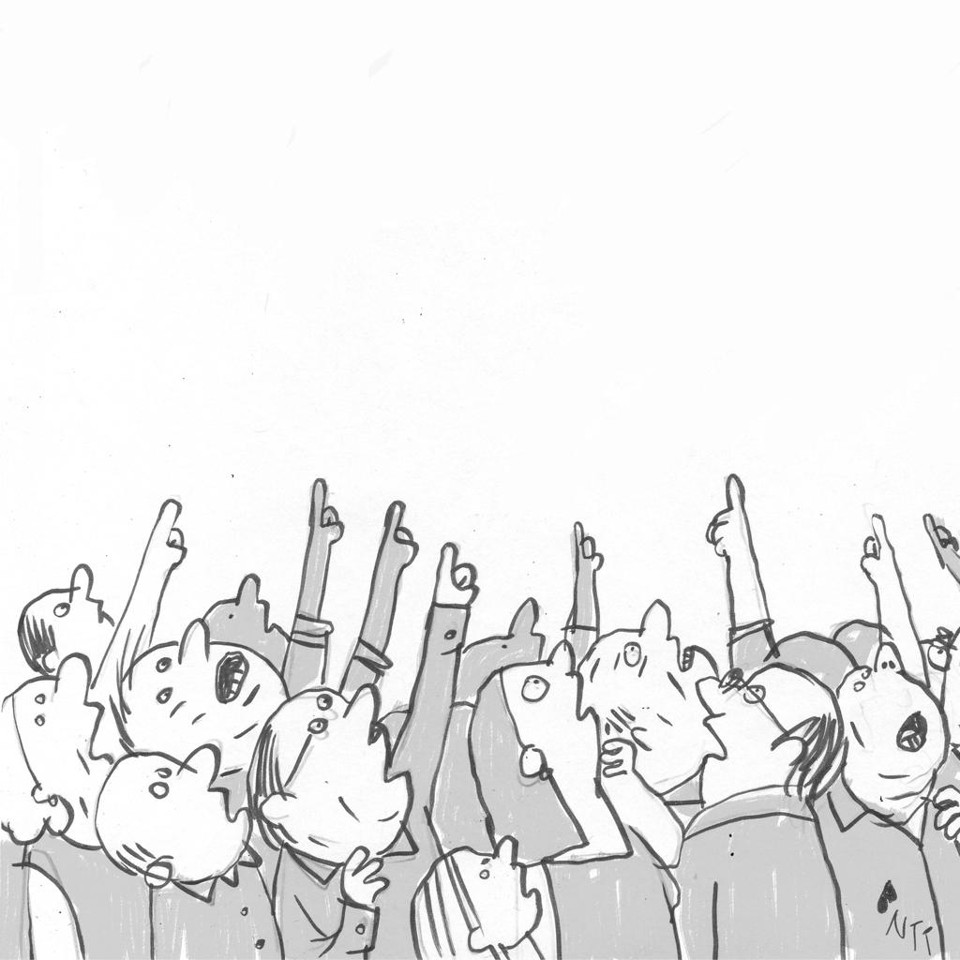 Papagaio da madrugada | /