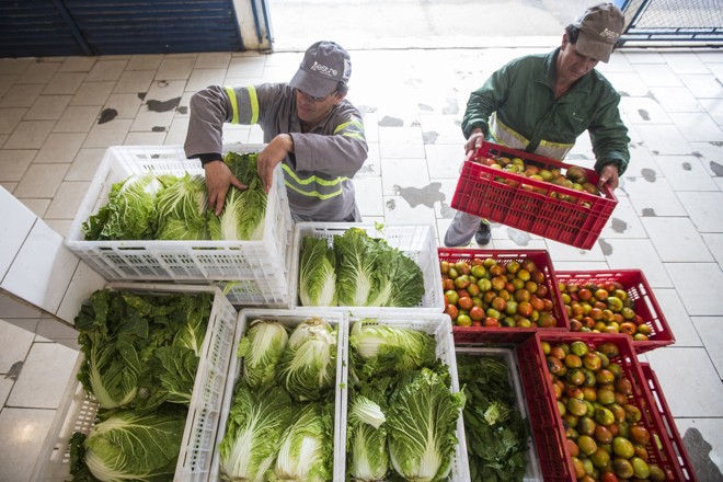 Projeto pretende reduzir o desperdício diário de 20 toneladas de ...