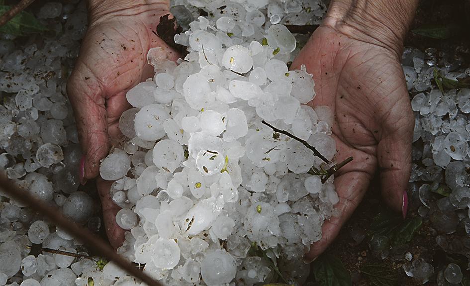 Em São José dos Pinhais , 104 casas foram danificadas pelo gelo. | Aniele Nascimento/Gazeta do Povo