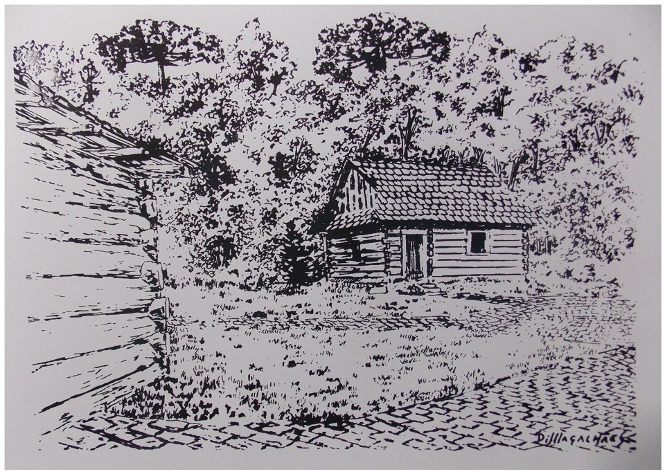 O Bosque do Papa foi inspiração para obra de artista plástico. | Di Magalhães/Reprodução