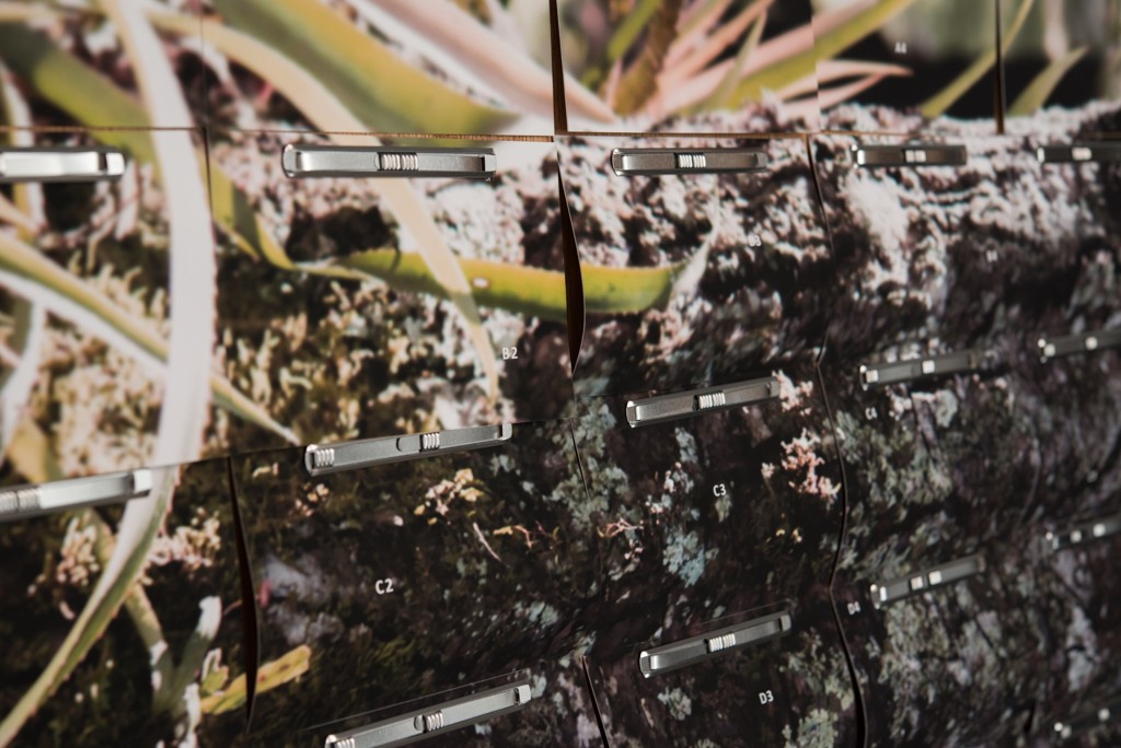 Marcelo Moscheta usa como referência a paisagem paranaense.