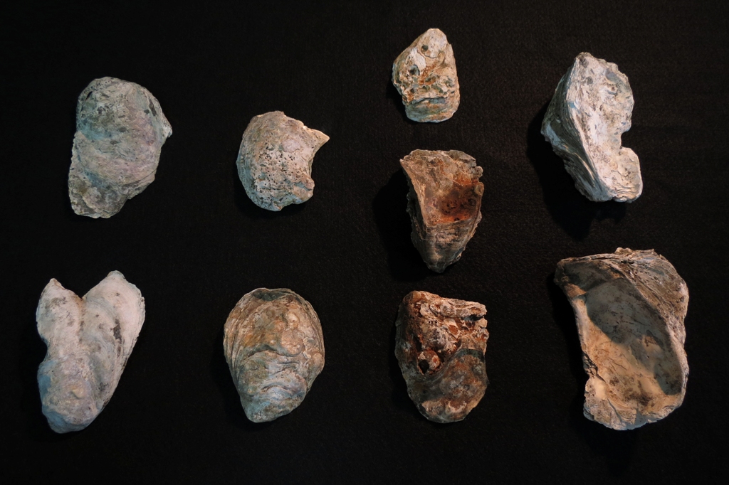 Conchas, pontas de lança, batedores e raspadores estão entre os mais de 220 mil artefatos encontrados no sítio arqueológico da Leopoldina. | GERJ/Divulgação