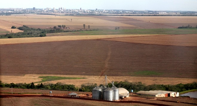 Principal produto do agronegócio brasileiro, soja abriu era industrial nas cooperativas. |