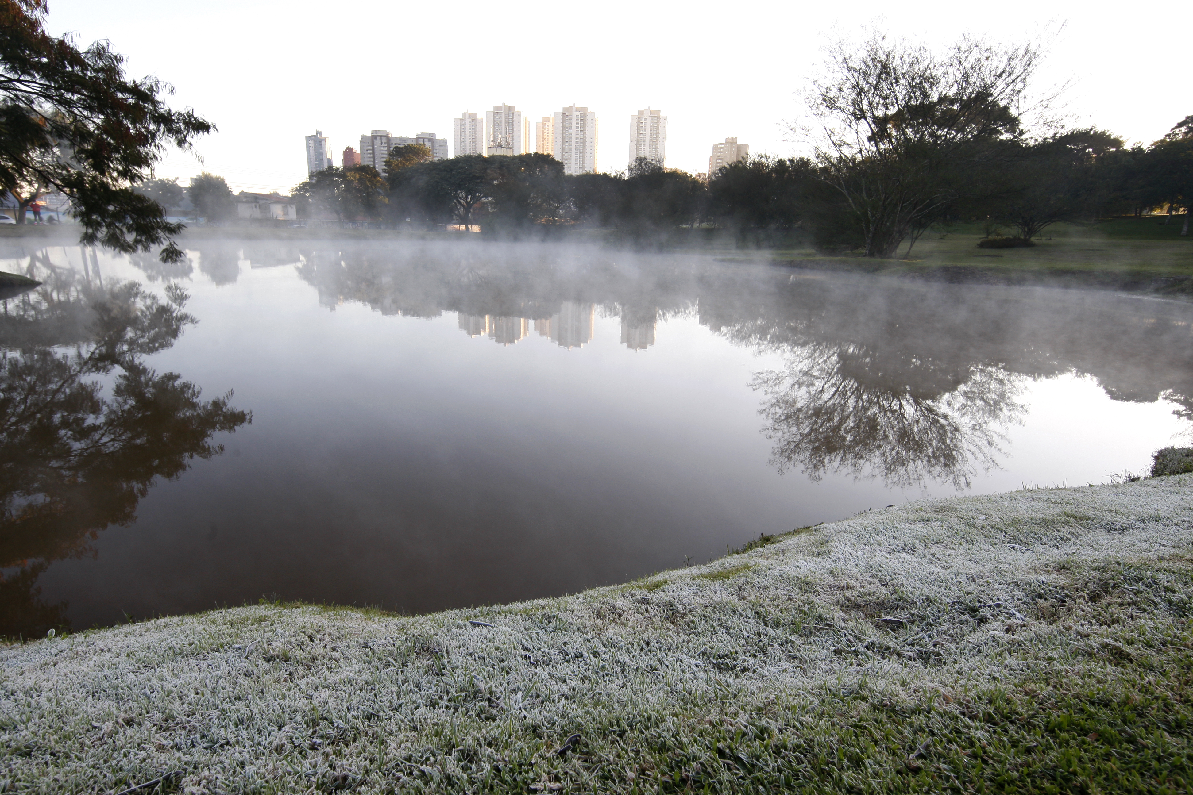 Geada deve aparecer no Paraná neste fim de semana. | Aniele Nascimento/Gazeta do Povo