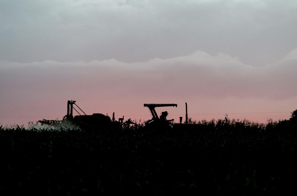 Cerca de 270 participantes de encontro técnico discutem uso de produtos químicos pela agricultura. | Foto: Henry Milleo/gazeta Do Povo