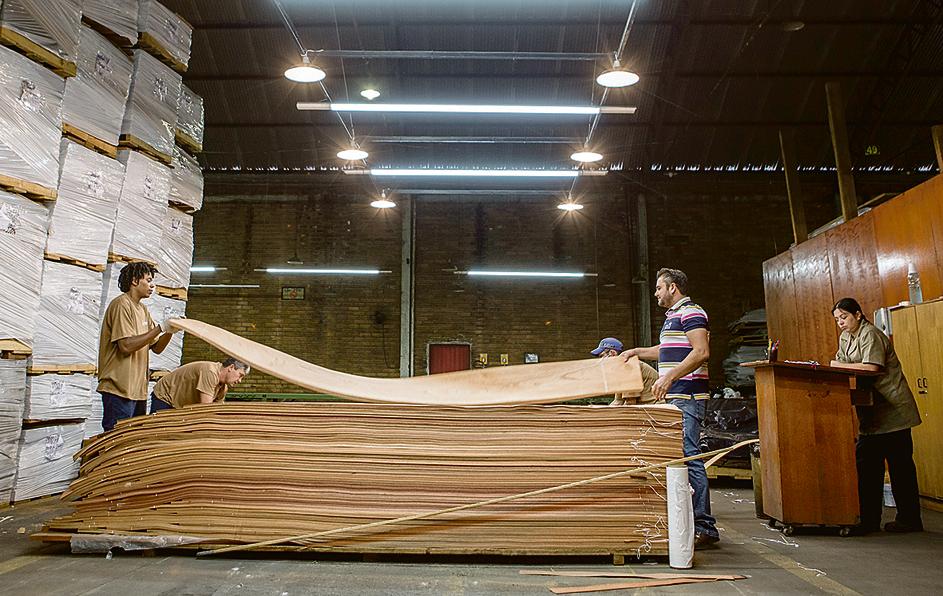 Setor de madeira compensada foi o que mais aumentou as vendas ao exterior no 1º semestre. | Marcelo Andrade/Gazeta do Povo