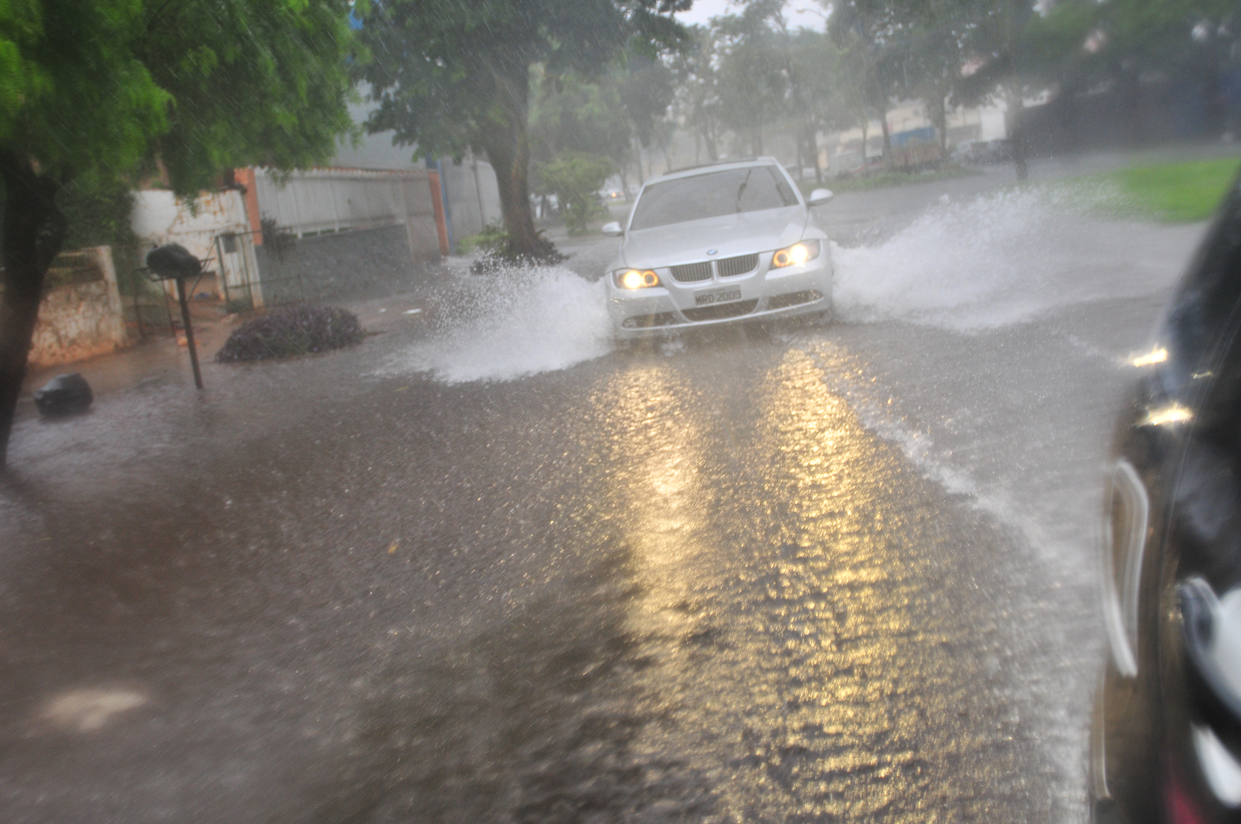 | Carlos Bozelli/ Arquivo/Jornal de Londrina