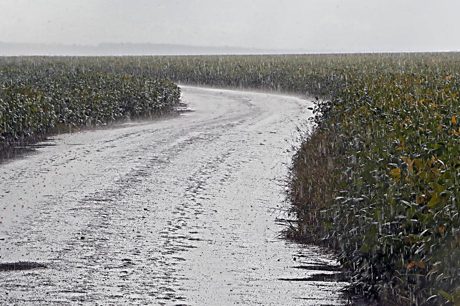 | Albari Rosa / Gazeta Do Povo