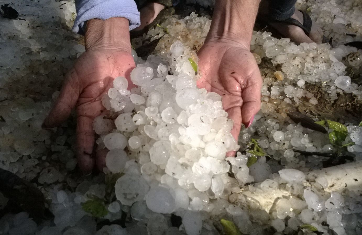 Pedras de granizo causaram estragos na cidade da RMC | Aniele Nascimento/Gazeta do Povo