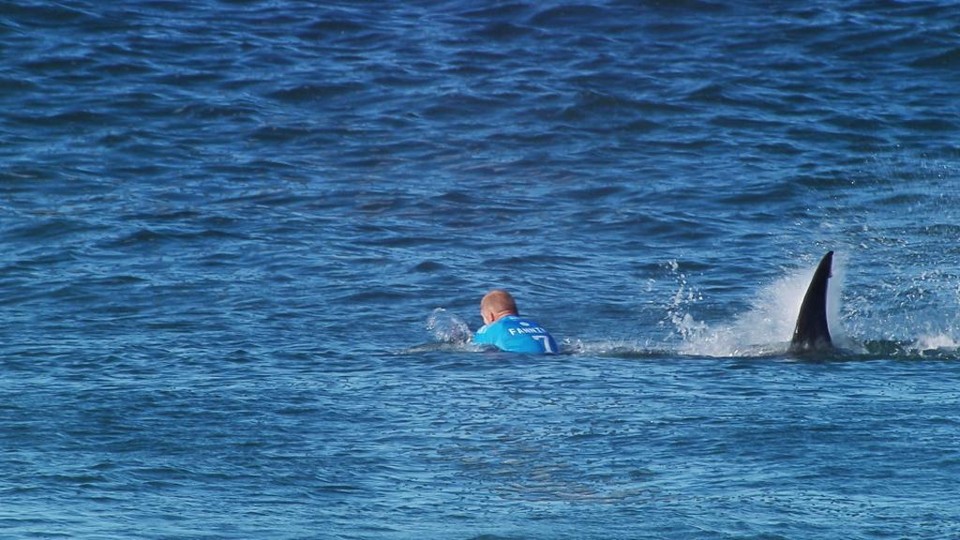 O momento em que o tubarão se aproxima de Mick Fanning: comoção e agradecimento a Julian Wilson. | SCREENGRAB/© WSL