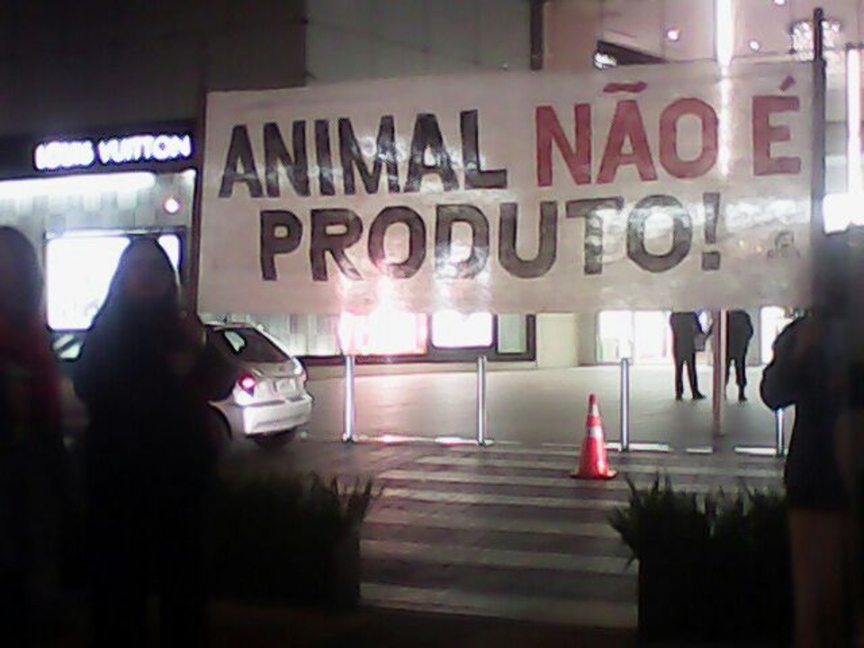 Protesto foi realizado na frente de shopping de Curitiba | Jamile Samia Ramme/Arquivo Pessoal