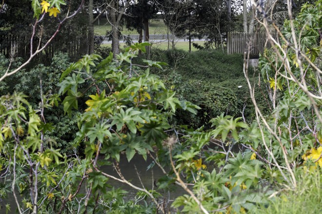 Espaço sem muro no Autódromo Internacional de Curitiba | Felipe Rosa/Tribuna