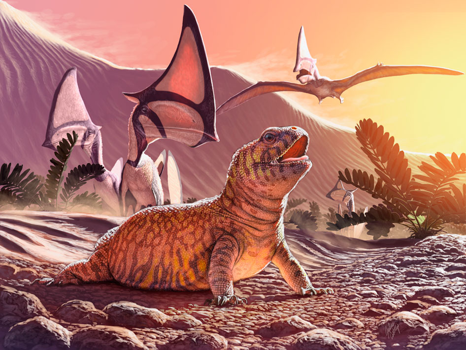 ‘Gueragama sulamericana’ | Ilustração/J. Csotonyi