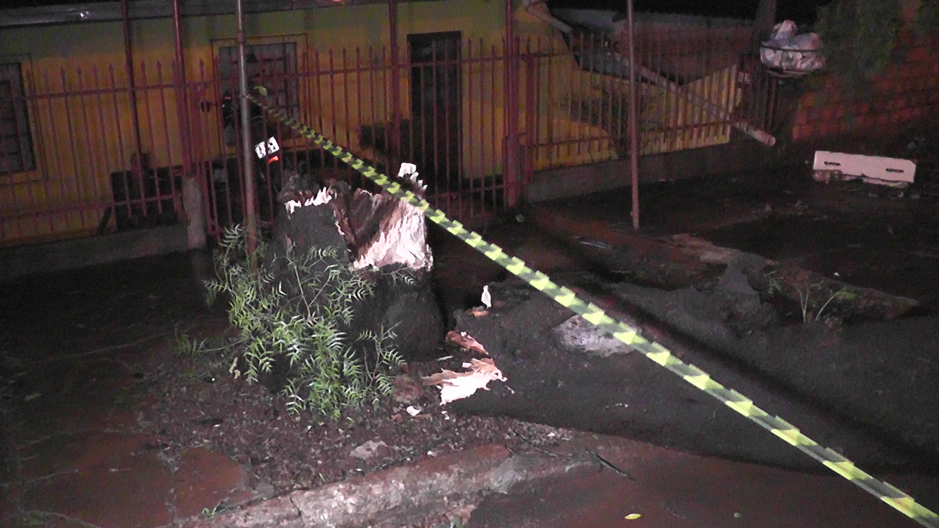 Defesa Civil atendeu casos de quedas de árvores. | CGN/