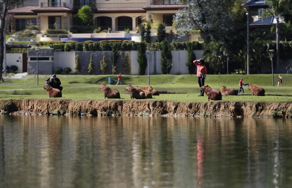 Em Curitiba, calor pode chegar aos 26°C no domingo (30) | Jonathan Campos/Gazeta do Povo