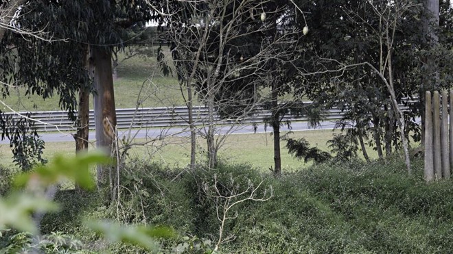 O buraco por onde as crianças passaram para entrar na pista. | Felipe Rosa/TRIBUNA DO PARANA