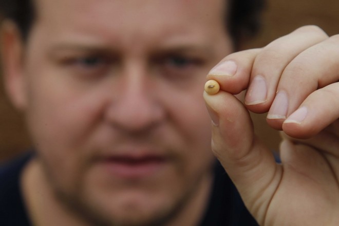 Oleaginosa está no biodiesel e até em cosméticos. Na foto, o agricultor Alisson Alceu Hilgenberg, de Ponta Grossa, campeão nacional de produtividade. |