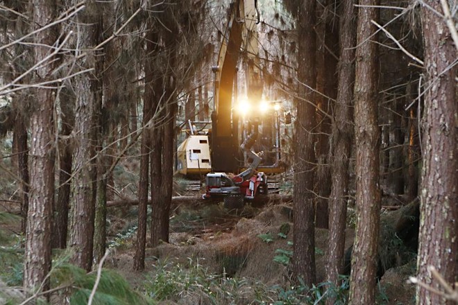As máquinas vão a campo e conseguem fazer um serviço que exigira até 50 homens se fosse feito manualmente. Escassez de mão de obra exige mecanização. | 