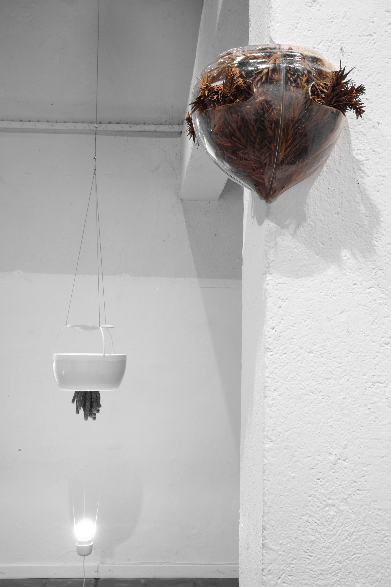 | Leco de Souza/Divulgação