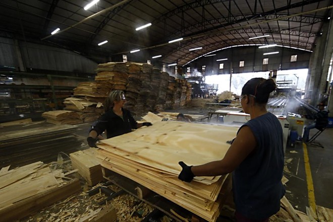 Lâminas são coladas e agrupadas por meio de máquinas especiais. | 