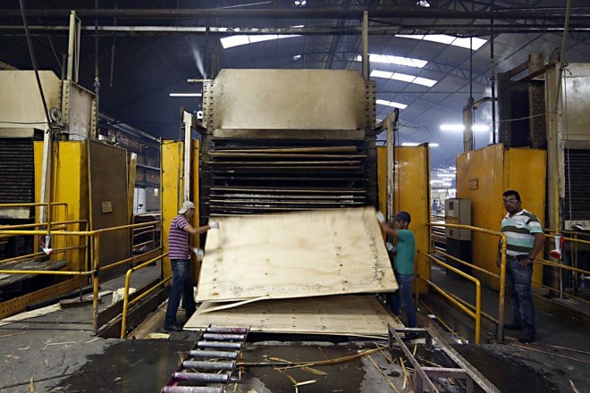 Lâminas de madeira podem ser agrupadas para formarem chapas mais fortes. | 